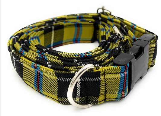 Cornish Tartan Dog Collar And Lead Set